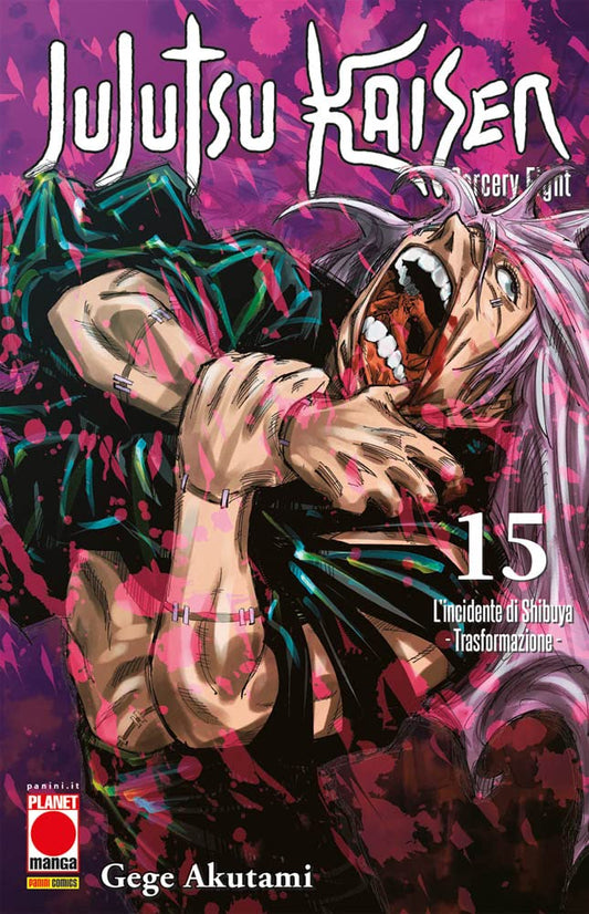 Jujutsu Kaisen (Vol. 15)